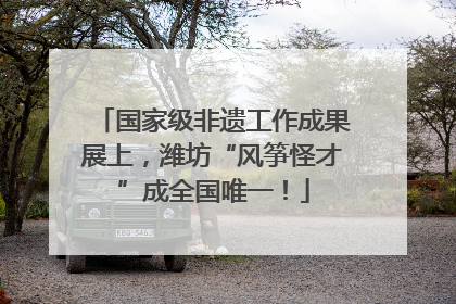 国家级非遗工作成果展上，潍坊“风筝怪才”成全国唯一！