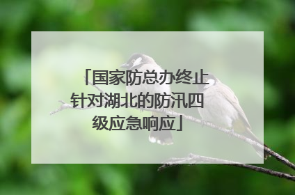 国家防总办终止针对湖北的防汛四级应急响应