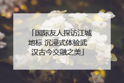国际友人探访江城地标 沉浸式体验武汉古今交融之美
