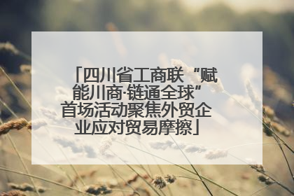 四川省工商联“赋能川商·链通全球”首场活动聚焦外贸企业应对贸易摩擦