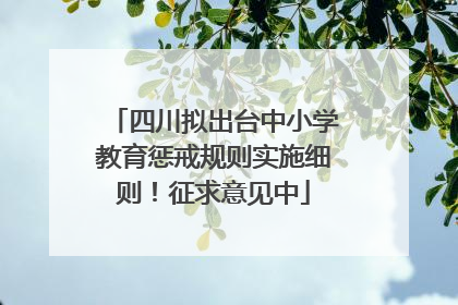 四川拟出台中小学教育惩戒规则实施细则！征求意见中