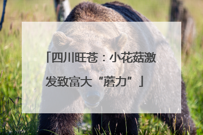四川旺苍：小花菇激发致富大“蘑力”