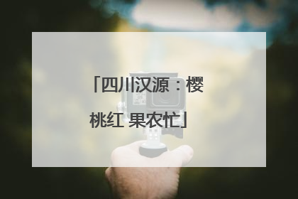 四川汉源：樱桃红 果农忙