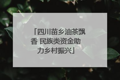 四川苗乡油茶飘香 民族类资金助力乡村振兴