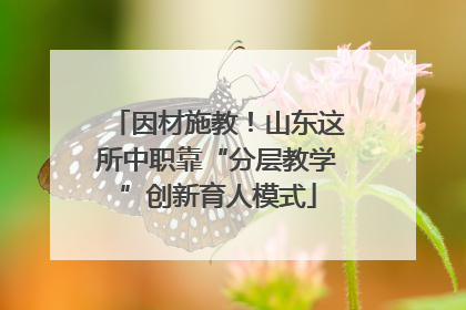 因材施教！山东这所中职靠“分层教学”创新育人模式