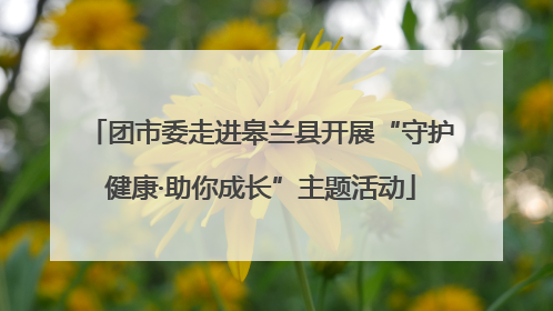 团市委走进皋兰县开展“守护健康·助你成长”主题活动