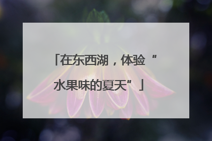 在东西湖，体验“水果味的夏天”