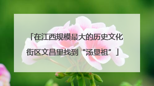 在江西规模最大的历史文化街区文昌里找到“汤显祖”