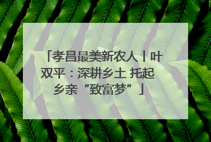 孝昌最美新农人丨叶双平：深耕乡土 托起乡亲“致富梦”