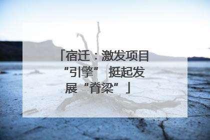 宿迁：激发项目“引擎” 挺起发展“脊梁”