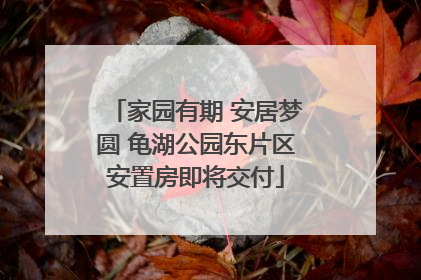 家园有期 安居梦圆 龟湖公园东片区安置房即将交付