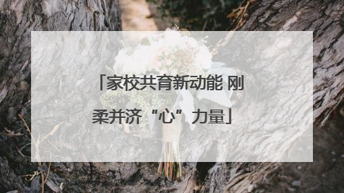 家校共育新动能 刚柔并济“心”力量