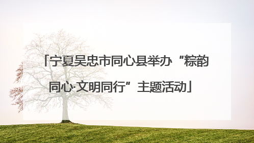 宁夏吴忠市同心县举办“粽韵同心·文明同行”主题活动