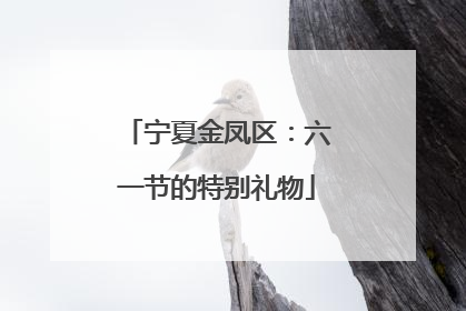 宁夏金凤区：六一节的特别礼物