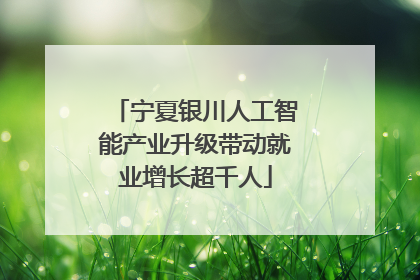 宁夏银川人工智能产业升级带动就业增长超千人