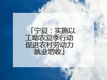 宁夏：实施以工助农夏季行动促进农村劳动力就业增收