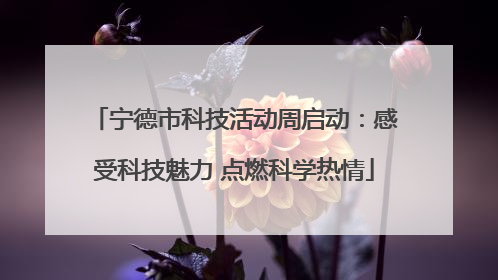 宁德市科技活动周启动：感受科技魅力 点燃科学热情
