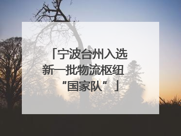 宁波台州入选新一批物流枢纽“国家队”