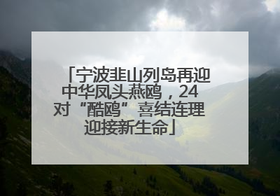 宁波韭山列岛再迎中华凤头燕鸥，24对“酷鸥”喜结连理迎接新生命