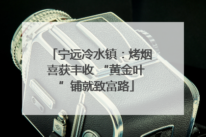 宁远冷水镇：烤烟喜获丰收 “黄金叶”铺就致富路