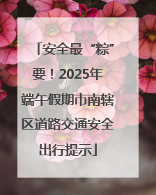 安全最“粽”要！2025年端午假期市南辖区道路交通安全出行提示