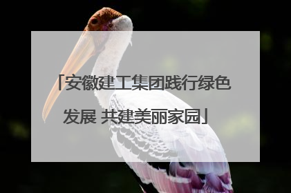 安徽建工集团践行绿色发展 共建美丽家园