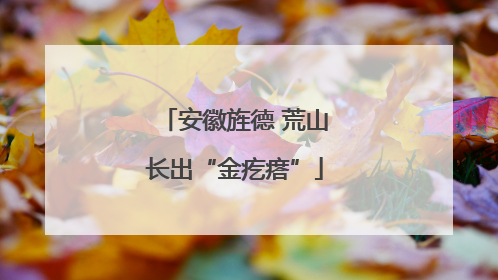 安徽旌德 荒山长出“金疙瘩”