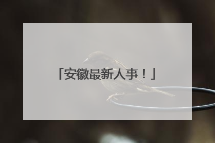 安徽最新人事！