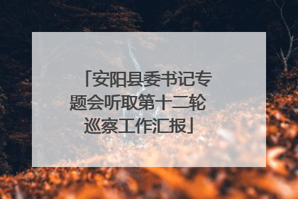 安阳县委书记专题会听取第十二轮巡察工作汇报