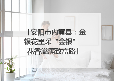 安阳市内黄县：金银花里采“金银” 花香溢满致富路