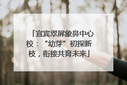 宜宾翠屏象鼻中心校：“幼芽”初探新枝，衔接共育未来