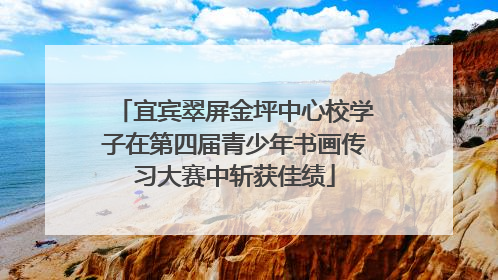 宜宾翠屏金坪中心校学子在第四届青少年书画传习大赛中斩获佳绩