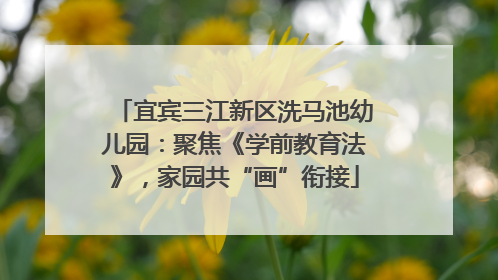 宜宾三江新区洗马池幼儿园：聚焦《学前教育法》，家园共“画”衔接