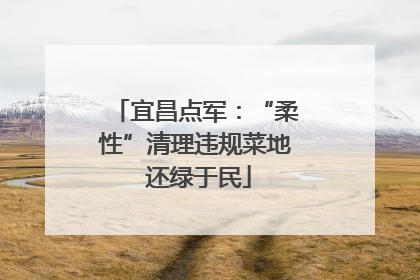 宜昌点军：“柔性”清理违规菜地 还绿于民