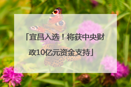 宜昌入选！将获中央财政10亿元资金支持