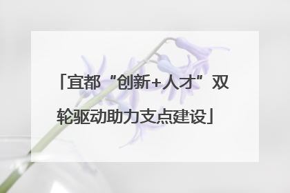 宜都“创新+人才”双轮驱动助力支点建设