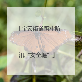 宝云街道筑牢防汛“安全堤”