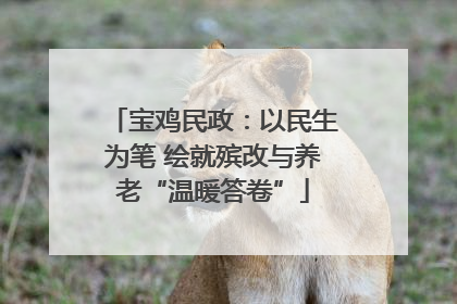 宝鸡民政：以民生为笔 绘就殡改与养老“温暖答卷”