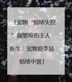 宠物“情绪失控”频繁咬伤主人 医生：宠物夏季易情绪中暑
