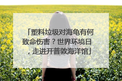 塑料垃圾对海龟有何致命伤害？世界环境日，走进开普敦海洋馆
