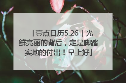 壹点日历5.26｜光鲜亮丽的背后，定是脚踏实地的付出！早上好