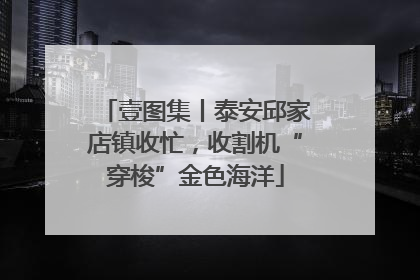 壹图集丨泰安邱家店镇收忙，收割机“穿梭”金色海洋