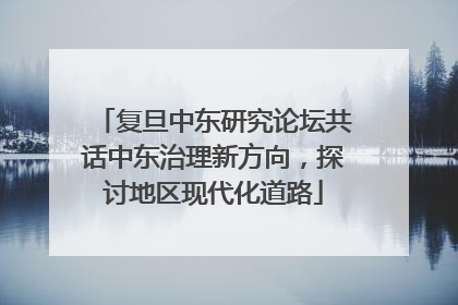 复旦中东研究论坛共话中东治理新方向，探讨地区现代化道路