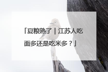 夏粮熟了｜江苏人吃面多还是吃米多？