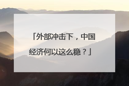 外部冲击下，中国经济何以这么稳？