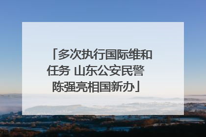 多次执行国际维和任务 山东公安民警陈强亮相国新办