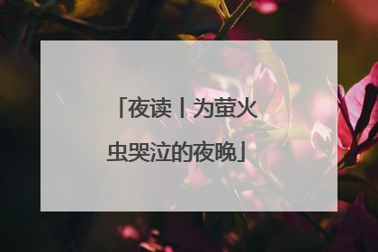 夜读丨为萤火虫哭泣的夜晚