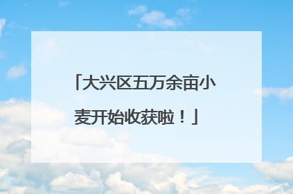 大兴区五万余亩小麦开始收获啦！