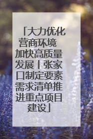 大力优化营商环境 加快高质量发展丨张家口制定要素需求清单推进重点项目建设