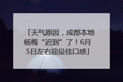 天气原因，成都本地杨梅“迟到”了！6月5日左右迎最佳口感